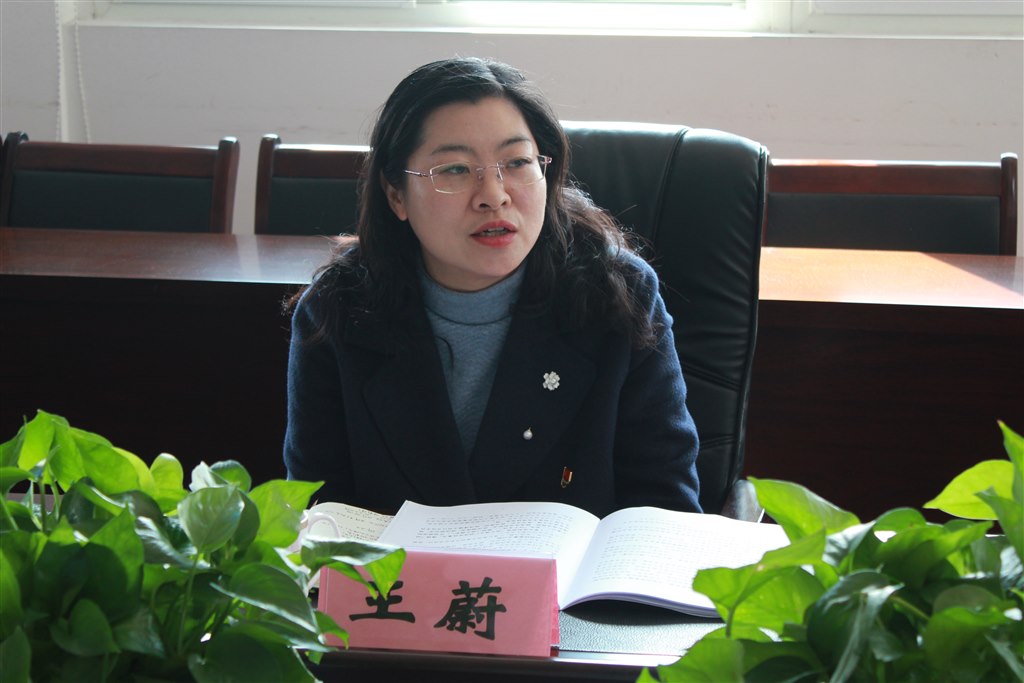 6王蔚处长发言.JPG