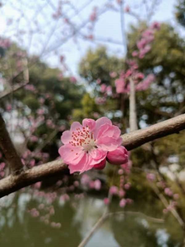 微信图片_202303241922022.jpg