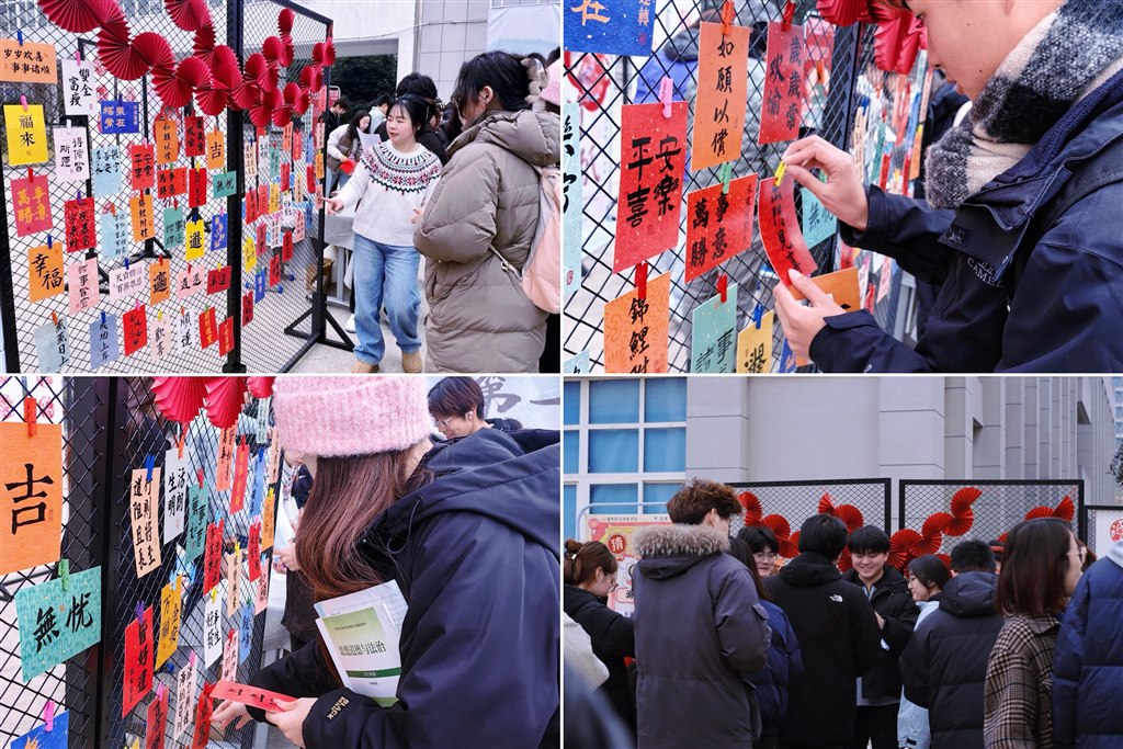 系列四（图4）.JPG