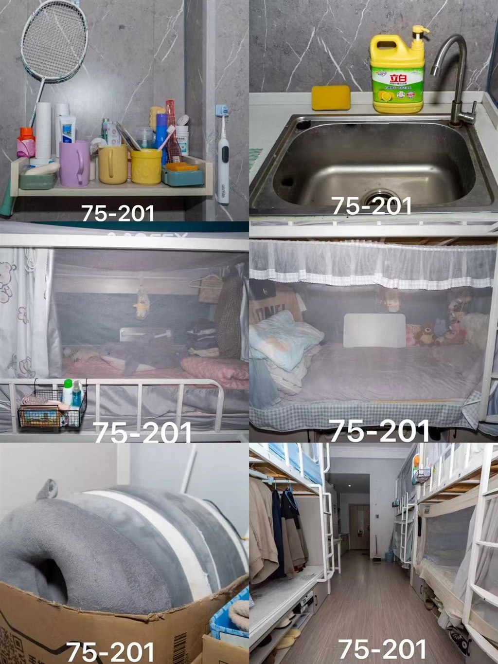 201.jpg