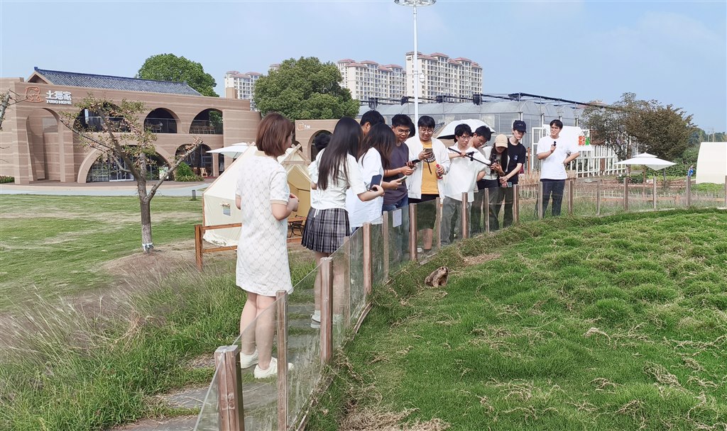 近距离接触乡村自然气息.jpg 近距离接触乡村自然气息.jpg